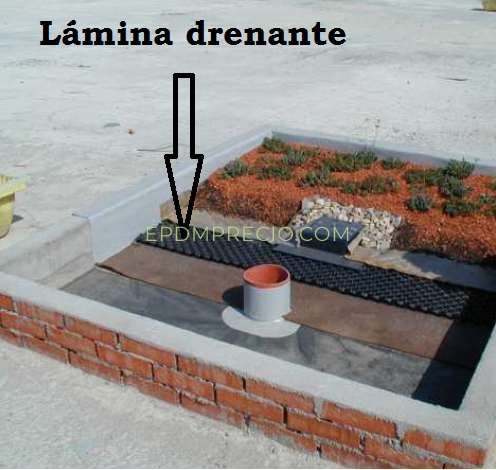 Precio lamina drenante